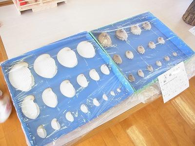夏休み作品展